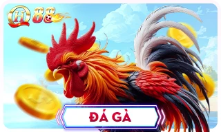 Logo đá gà QH88